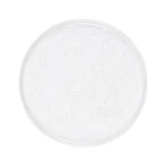 Тарелка «Фрост» с бортом фарфор D=210,H=19мм белый, Цвет: Белый, Диаметр (мм): 210