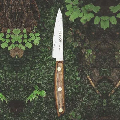 Нож для чистки овощей и фруктов «Нордика» сталь нерж.,дерево ,L=10см, изображение 3