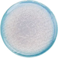 Plate “Neptune”  porcelain  D=203, H=20mm  turquoise, white
