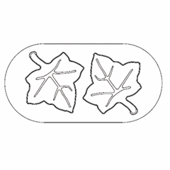 Confectionery mold “Leaf” plastic ,L=5,B=5cm black