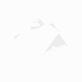 Вакуумный пакет 95мкм[200шт] полиэтилен ,L=35,B=25см