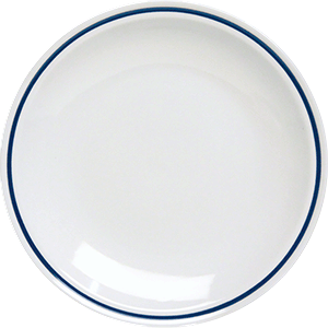 Тарелка мелкая фарфор D=25см голуб.