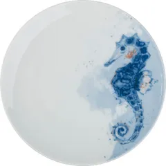 Plate “Universal” Skate porcelain D=20,H=2cm white,blue