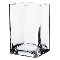 Flower vase “Botany” glass ,H=20cm
