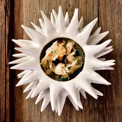 Емкость для закусок «Ро Дизайн Бай Эрбиси» в виде морского ежа керамика D=8см белый, изображение 3