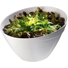 Салатник пластик 2,5л D=24,5,H=15см белый, изображение 2