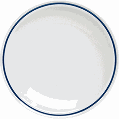 Small plate  porcelain  D=25cm  blue.