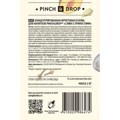 Основа для напитков «Слива с пряностями» фруктовая Pinch&Drop 1 кг пластик 1л D=8,H=26см, изображение 3