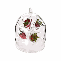 Подставка для комплимента «Боро» купол для аперитива, 6 емкостей стекло D=17,H=20см прозр.