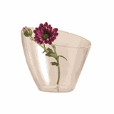 Креманка овальная набор[18шт] полистир.пищ. 140мл ,H=67,L=81,B=73мм прозр.