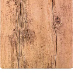 Блюдо для подачи пластик ,H=15,L=254,B=254мм св.бежев., изображение 2