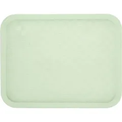 Поднос прямоугольный полипроп. ,L=46,B=36см зелен.