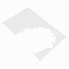 Блюдо для подачи пластик ,L=32,5,B=26,5см белый