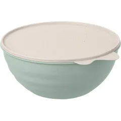 Bowl with lid  polyprop.  3.7 l  D=27.5, H=10.5 cm  light green, beige.