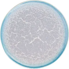 Plate “Neptune” small  porcelain  D=25cm  turquoise, white