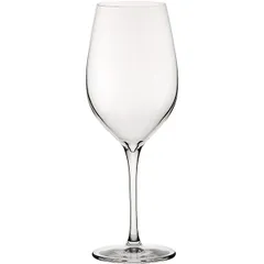 Wine glass “Terroir”  christened glass  430 ml  D=62, H=221mm  clear.