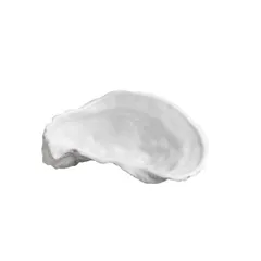 Блюдо для подачи «Медитер» для презентаций фарфор ,H=4,L=12,B=7см белый,матовый