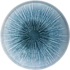 Тарелка «Нанокрем Блю» с бортом фарфор D=240,H=18мм голуб.