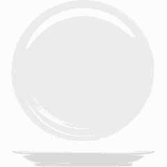 Тарелка «Америка» мелкая фарфор D=18,5см белый