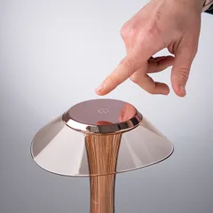 Лампа настольная «Астрэо» LED 3ватт пластик D=15,H=27,5см медный, изображение 3