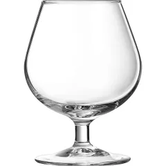 Glass for brandy “Tasting” glass 255ml D=55,H=110mm clear.