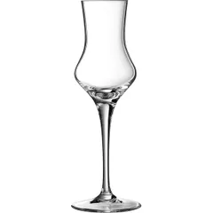 Glass for grappa “Spirits”  chrome glass  100 ml  D=64, H=182mm  clear.