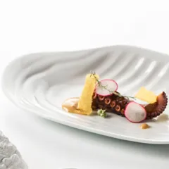 Тарелка «Медитер» для презентаций фарфор ,L=25,B=14см белый,матовый, изображение 3