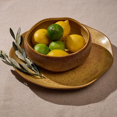 Салатник «Эггшелл Нейчер» фарфор 1,3л D=196,H=80мм коричнев., изображение 6