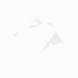 Вакуумный пакет 95мкм[200шт] полиэтилен ,L=30,B=16см