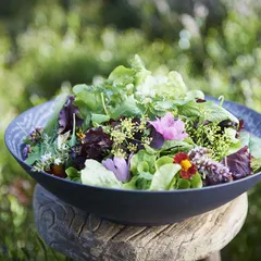 Салатник «Арборесценс» фарфор 175мл D=140,H=32мм черный,серый, изображение 4