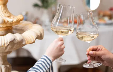 Как правильно держать бокалы: от вина до бренди