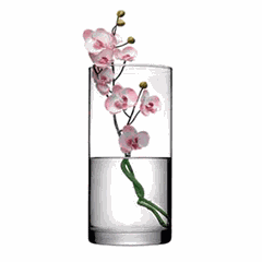 Flower vase “Botany” glass D=12.5,H=26cm clear.