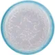 Тарелка глубокая «Нептун» фарфор 0,5л D=22см бирюз.,белый