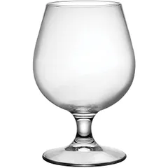 Glass for brandy “Riserva” glass 485ml D=99,H=151mm clear.