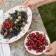 Блюдо для подачи «Шиповник» овальное керамика ,H=3,L=29,B=20см белый,красный, изображение 6