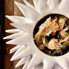 Емкость для закусок «Ро Дизайн Бай Эрбиси» в виде морского ежа керамика D=8см белый, изображение 2