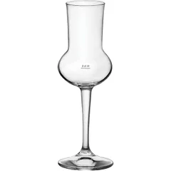 Glass for grappa “Riserva” glass 80ml D=55,H=165mm clear.