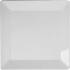 Dish plastic ,L=51,B=51cm white