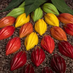 Форма для шоколада «Теоброма» [21 ячейка] поликарбонат ,H=26,L=275,B=175мм прозр., изображение 3