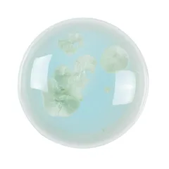 Блюдо для подачи «Фрост» фарфор D=10,H=9см зелен., Цвет: Зеленый, Диаметр (мм): 100, Высота (мм): 90, изображение 2