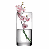 Ваза для цветов «Ботаника» стекло D=12,5,H=26см прозр.