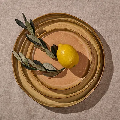 Тарелка «Эггшелл Нейчер» с бортом фарфор D=18,H=2см коричнев., изображение 6