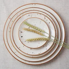 Тарелка «Париж» фарфор D=27см белый,коричнев., Диаметр (мм): 270, изображение 4