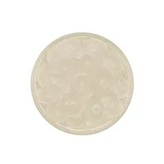 Кристалл-боллы «Ваниль» 1 кг ,H=15,L=280,B=180мм белый, изображение 2