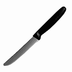 Kitchen knife  steel, plastic , L=110, B=45mm  metallic, black