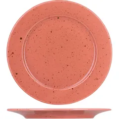 Plate “Lifestyle” small  porcelain  D=280, H=25mm  terracotta