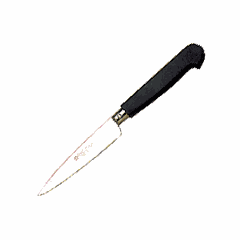 Knife for peeling vegetables and fruits  stainless steel, polyprop. , L=10cm  black, metal.