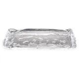 Блюдо сервировочное «Фрост» стекло ,L=25,B=11см прозр.