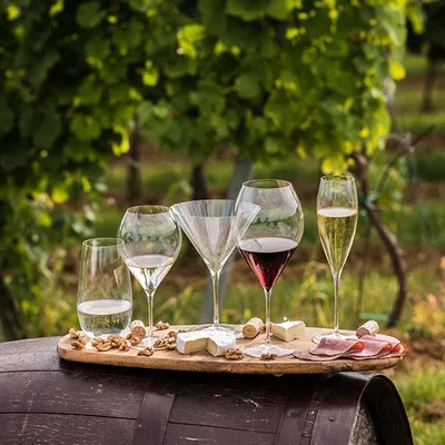 Бокал для вина «Сенсуал» хр.стекло 480мл D=97,H=208мм прозр., Объем по данным поставщика (мл): 480, изображение 4