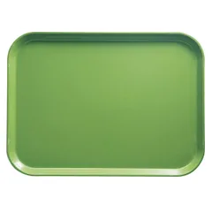 Rectangular tray  fiberglass , L=43, B=33cm  green.